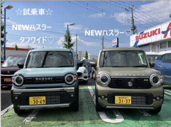 NEW ハスラー誕生フェア♡＆NEW ハスラー試乗のご案内♡